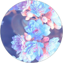 nurmeen al rashdan profile picture